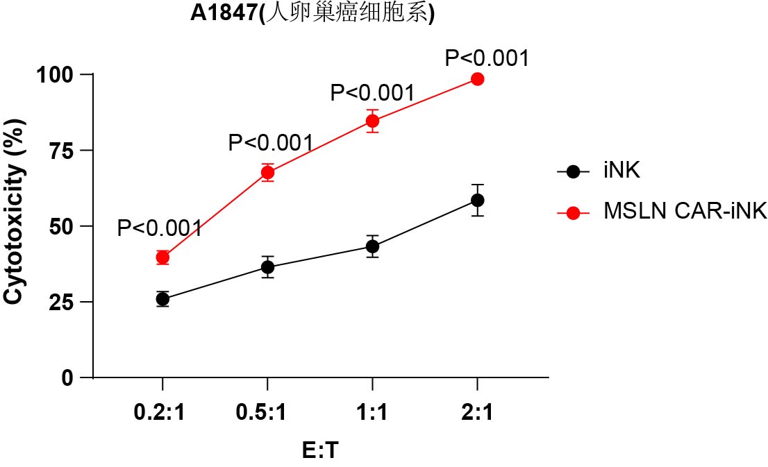 相关资料 (Liu et al. Cell Proliferation (2024) e13727. doi.org/10.1111/cpr.13727)